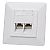 Wall plate mount box, cat. 5e, 2x RJ-45, UTP